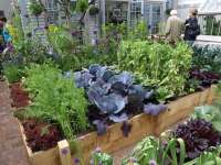Gartenseminar: Eine Garten für alle Sinne Veronika Walz